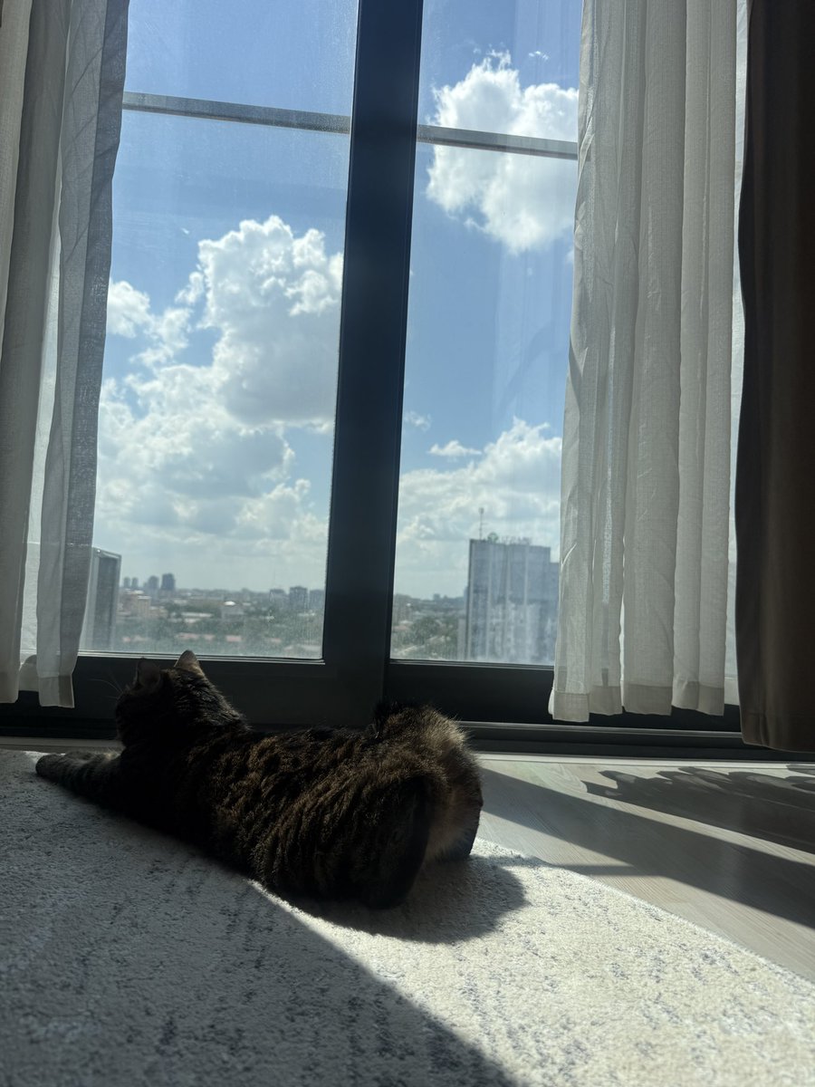 akylova's tweet photo. покажите вашу эстетику при условии что фотографиям из вашей галереи не больше месяца https://t.co/1NeJtdAMZE