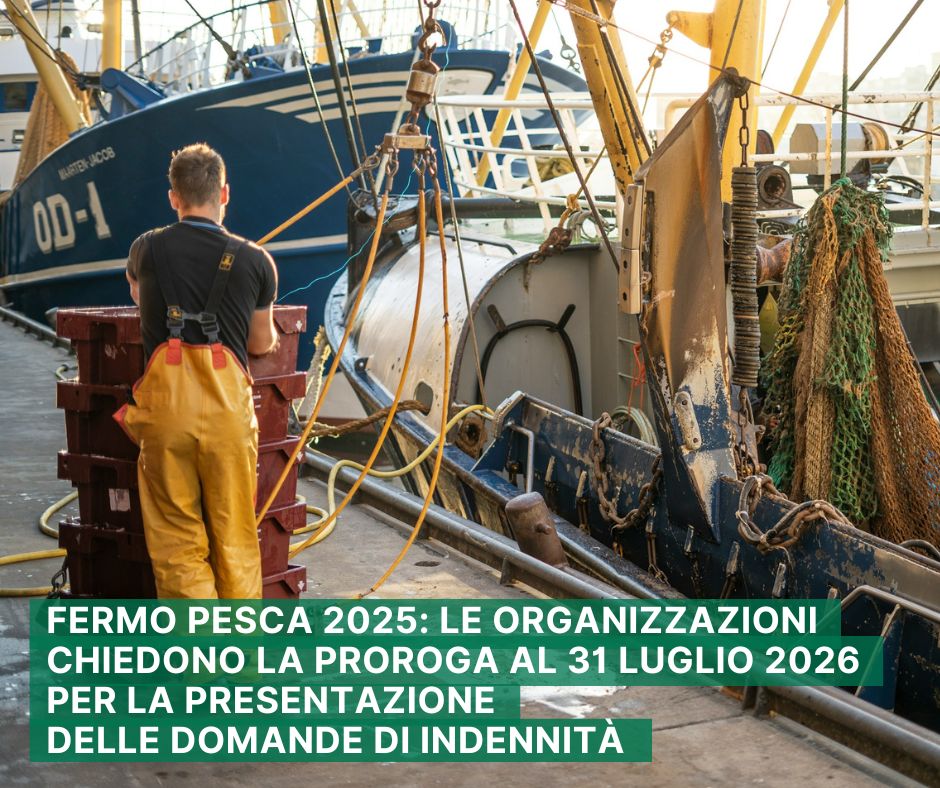 Fai-Cisl Nazionale tweet media