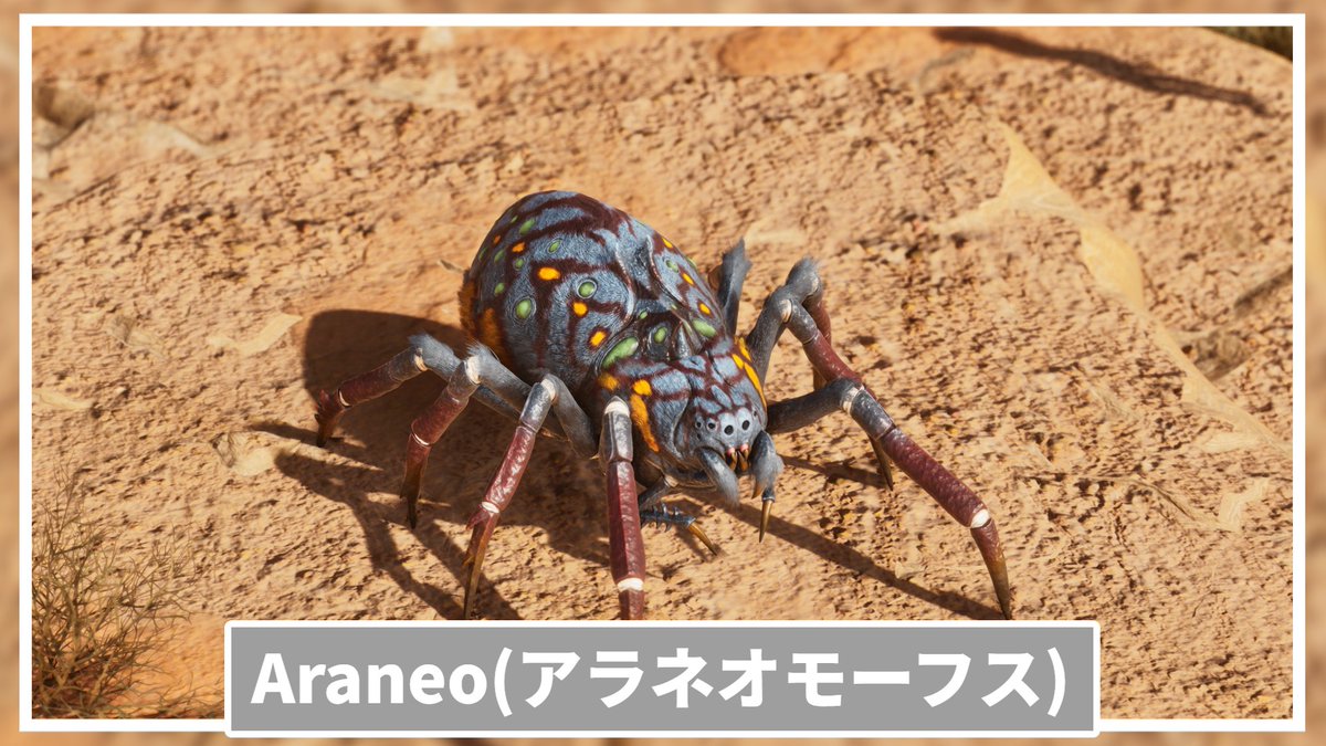 Muni_ark's tweet photo. 【更新】アラネオモーフスの生息地、テイム方法、テイム後の性能、コマンド https://t.co/C3zzZ7oQ5L https://t.co/V7jOkUkDHh