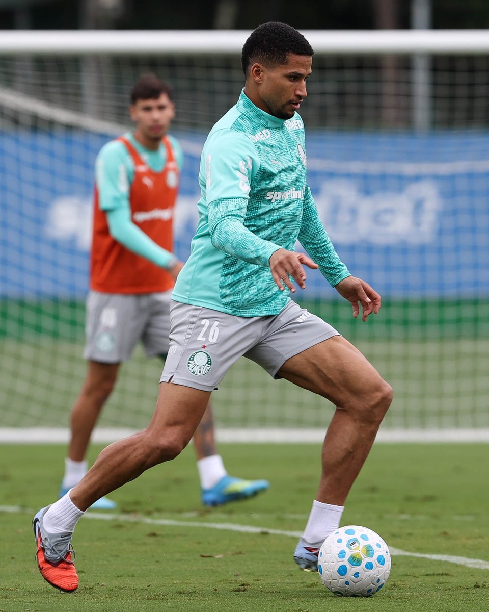 SE Palmeiras tweet media