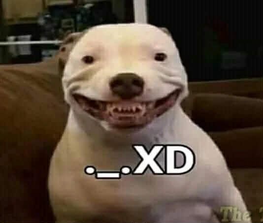 Br1_xD's tweet photo. @LevDavidovich78 El típico colega que sabe un "poco de todo" pero a la mínima que toca profundizar resulta que no sabe una mierda de nada https://t.co/M4kb4Z4i9b