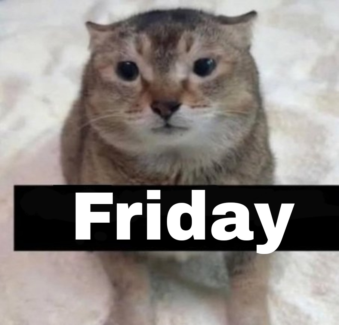 Cat-47 tweet media