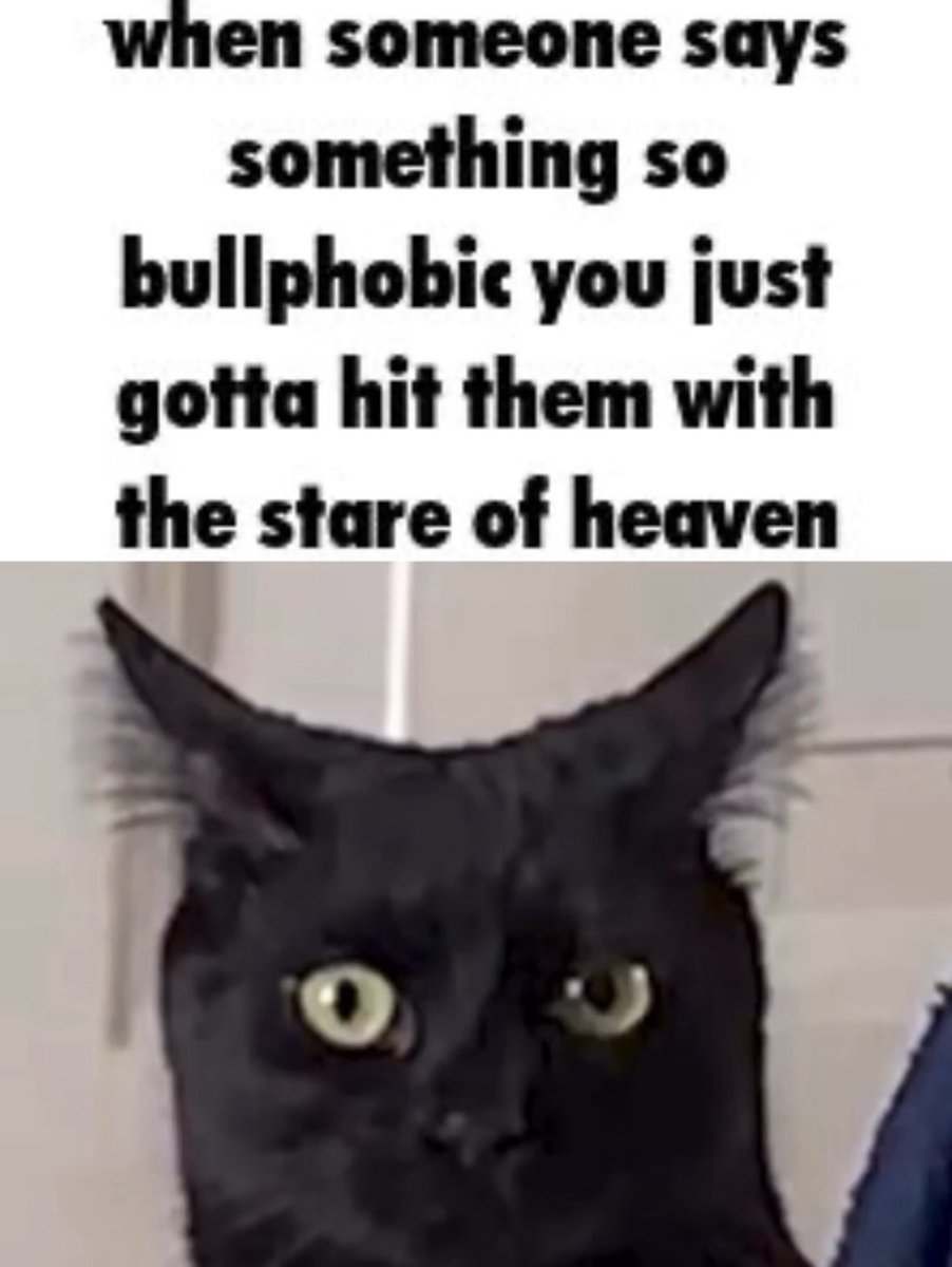 Read 🐈⬛ tweet media