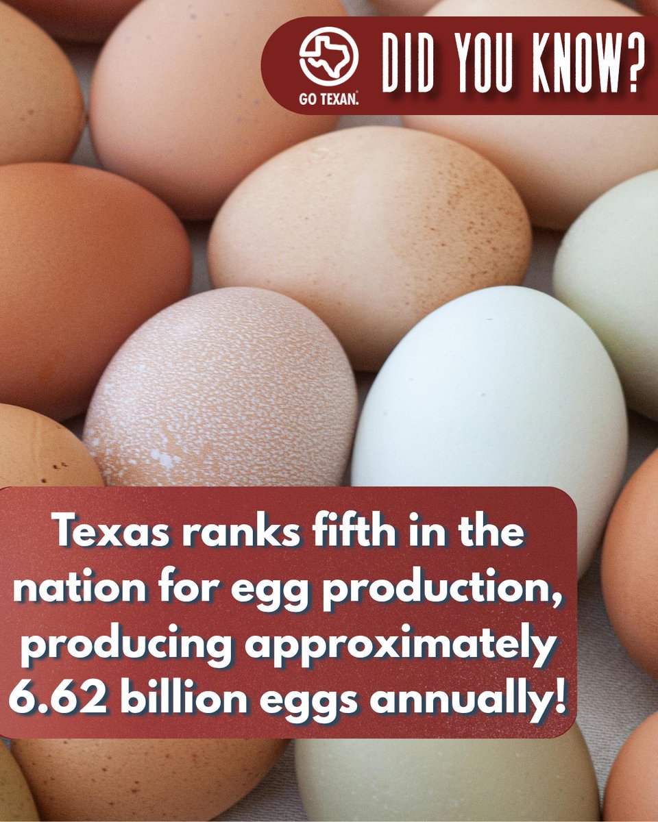 GOTEXAN tweet media