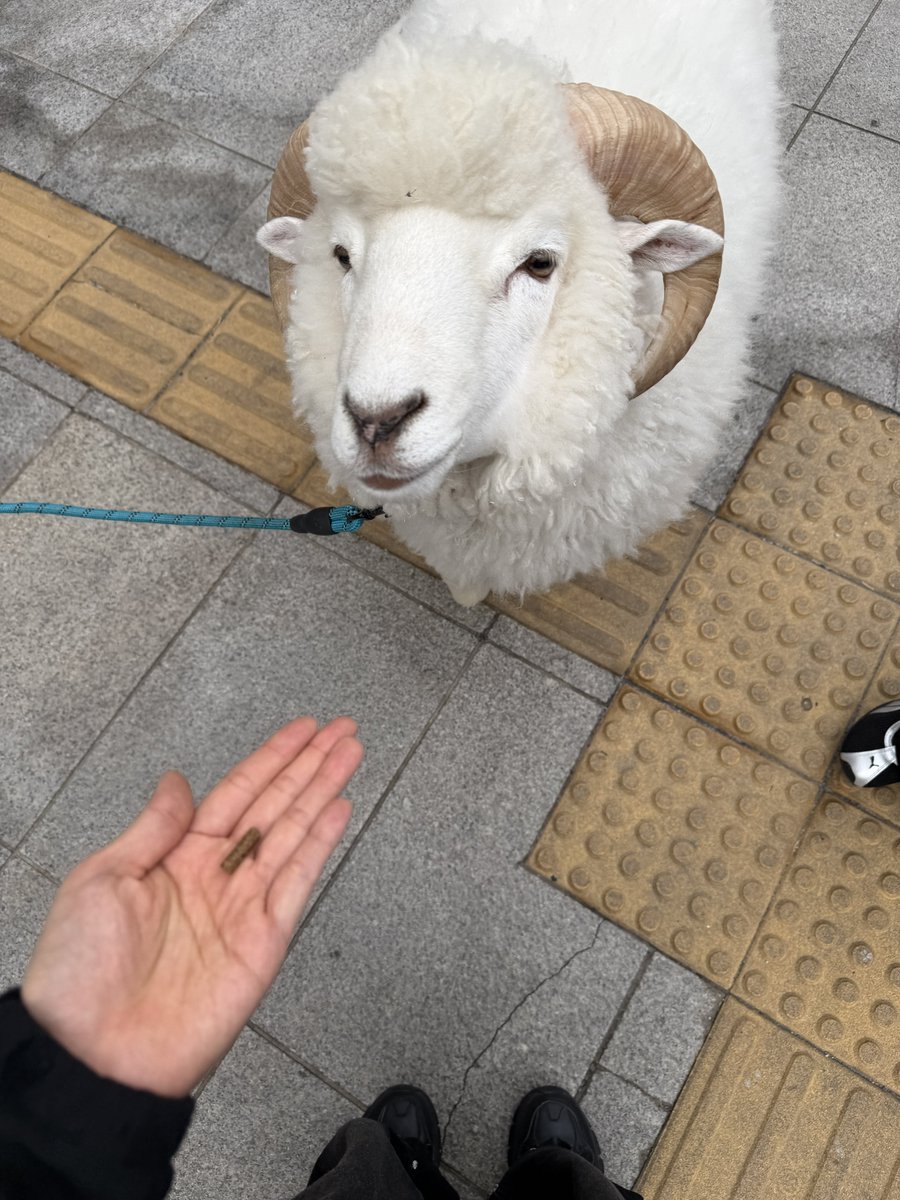 ✌︎ tweet media