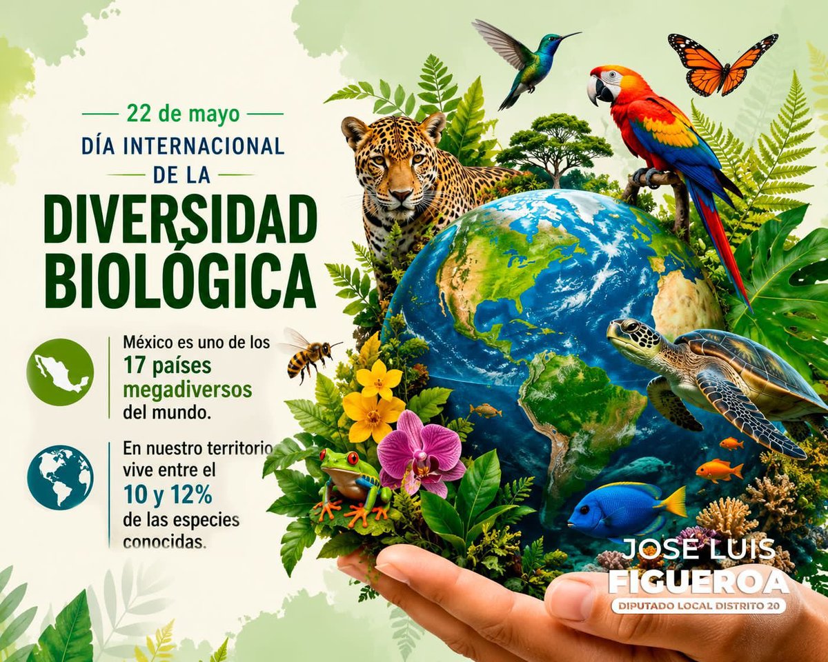 JLuis_Figueroa's tweet photo. La biodiversidad también se cuida desde nuestras comunidades. 🌿
Proteger nuestros árboles, ríos, animales y espacios naturales es proteger la vida y el futuro de nuestras familias.
#FigueroaConLaGente #PueblaSur #Distrito20 #PorAmorAPuebla https://t.co/8suQW9wVQy