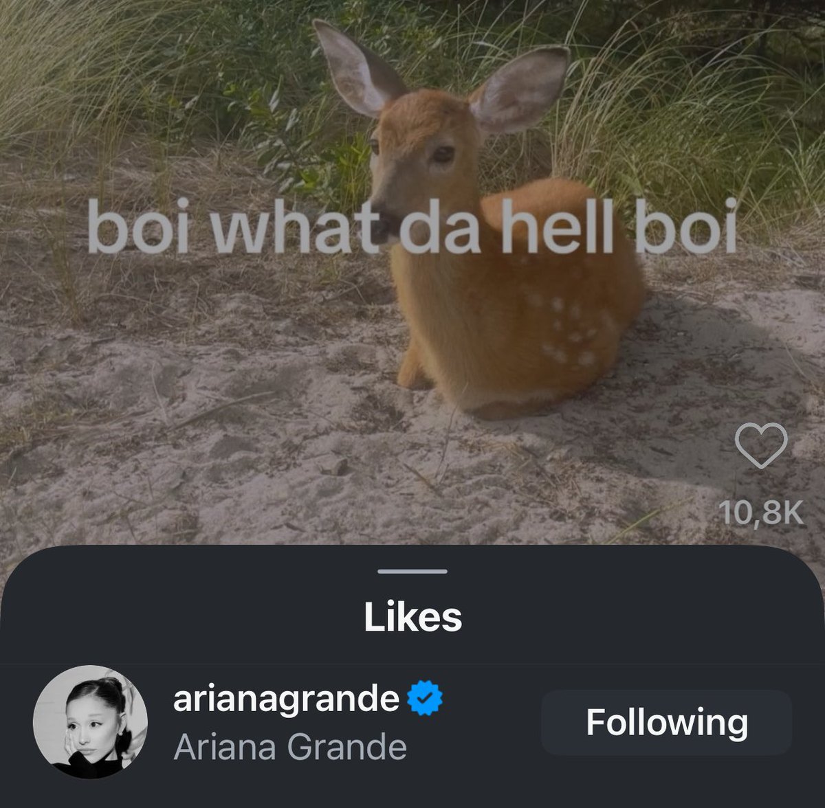 ִֶ ꕤ tweet media