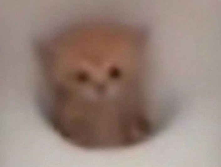 ✮⋆˙ 𝐍𝐨𝐢𝐫 ˖ tweet media