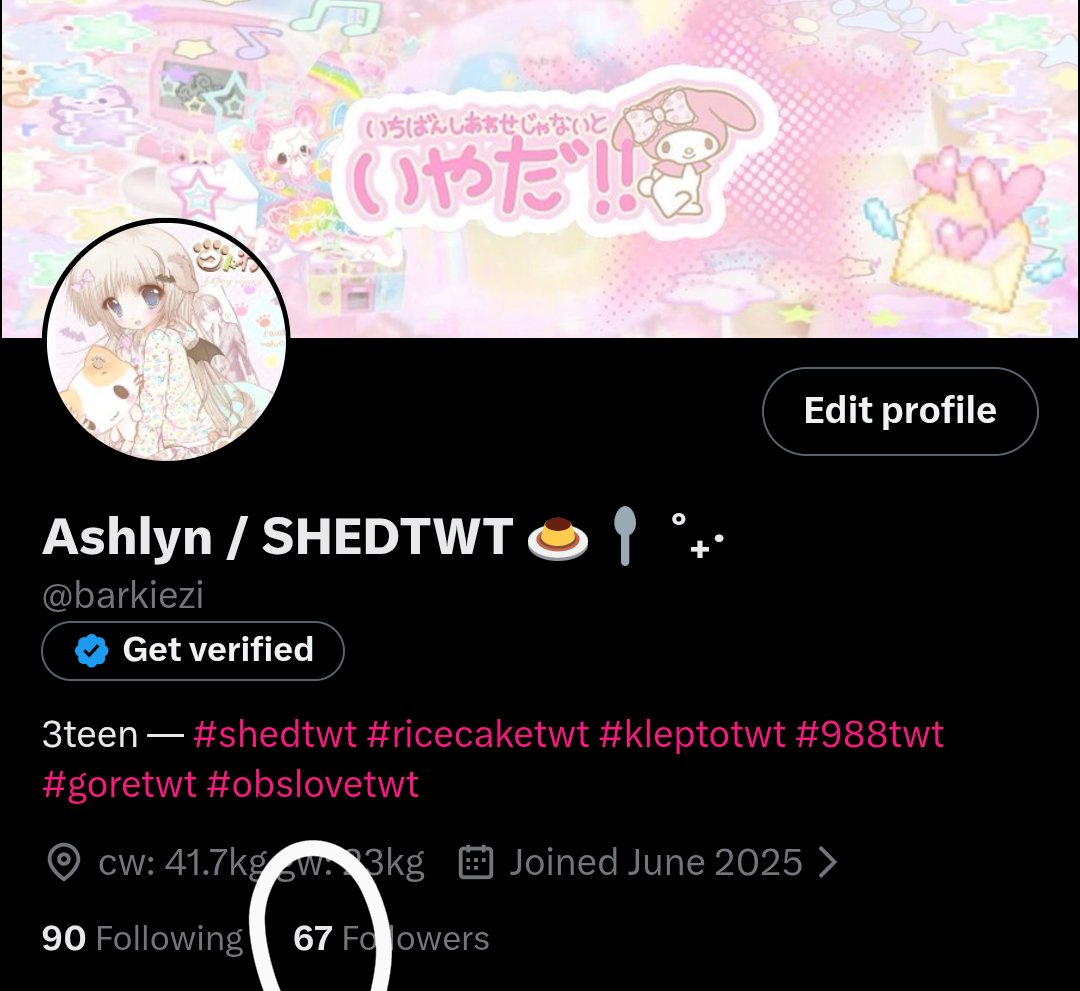 Ashlyn / SHEDTWT 🍮🥄 ˚₊‧ tweet media