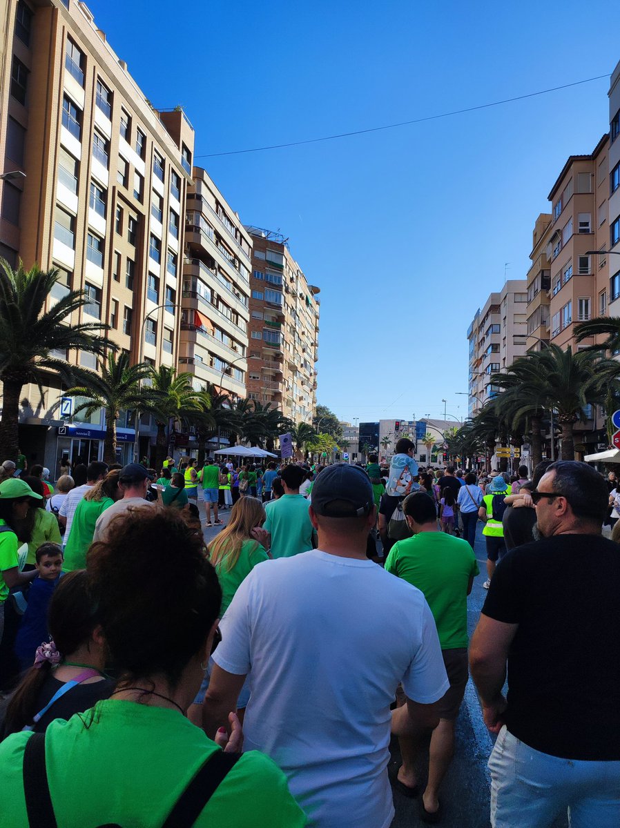 MariaJosep S Boronat tweet media