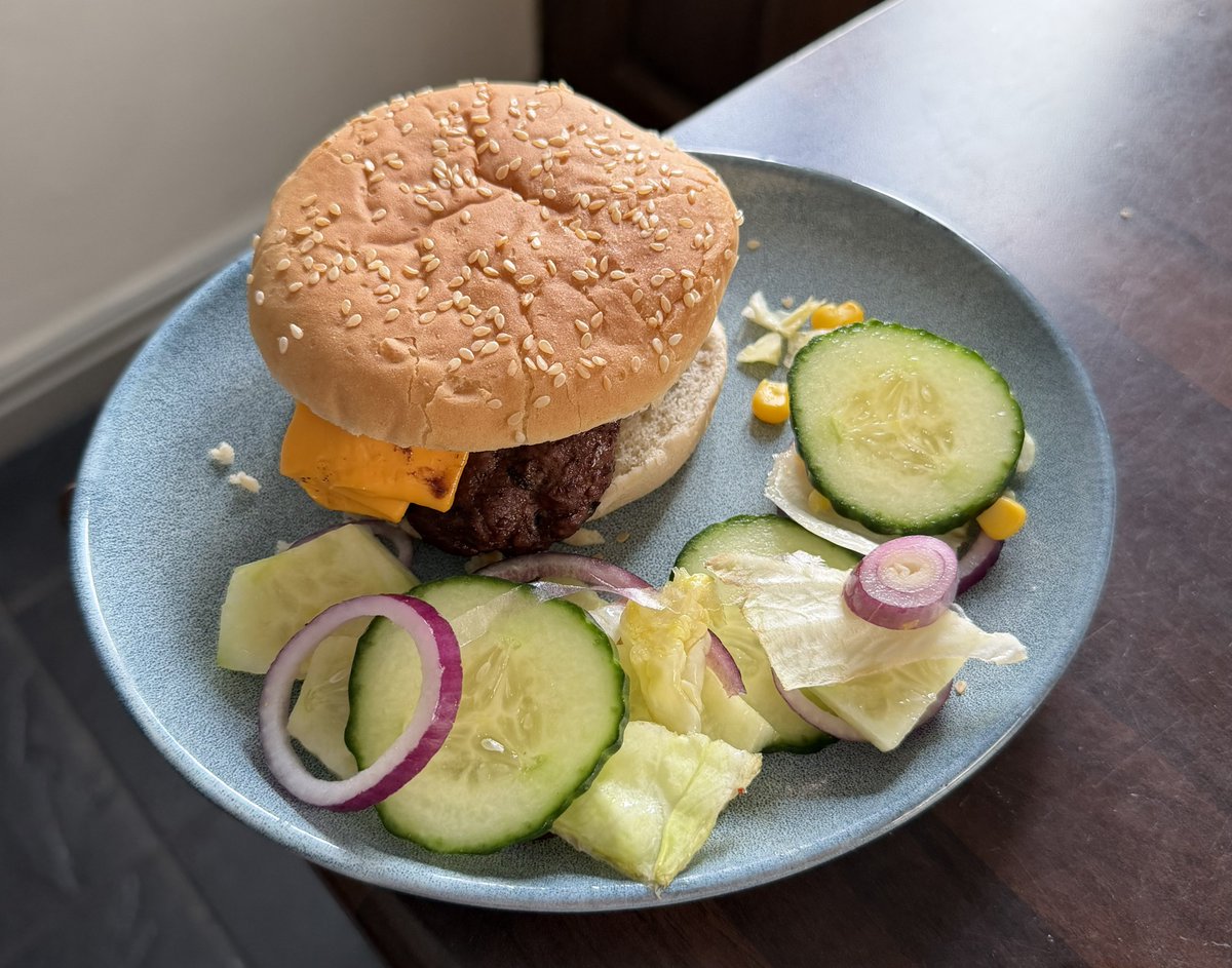 hikingshawty's tweet photo. today i walked five miles and i had a burger for dinner :) ✨ https://t.co/2BpsM2g38c