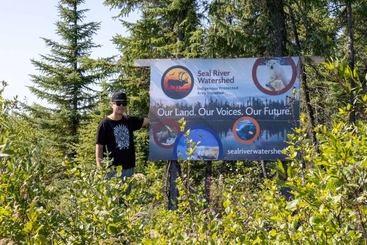 ILInationhood's tweet photo. If we want biodiversity to thrive, we need to protect the places where it still flourishes. 🌎🪶
The Seal River Watershed is one of them.
Led by four First Nations alongside Manitoba and Canada, a proposal is now on the table to protect one of the planet’s last intact watersheds.
This is what “acting locally for global impact” looks like, and you can be part of it now by submitting a comment in support of the IPCA proposal: https://t.co/rfhiwSYKUv 🌿
 #WorldBiodiversityDay