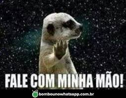 Flávio Pinto tweet media
