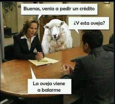 Titingo tweet media