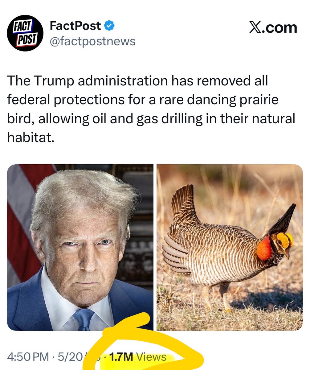 Matt Rein tweet media