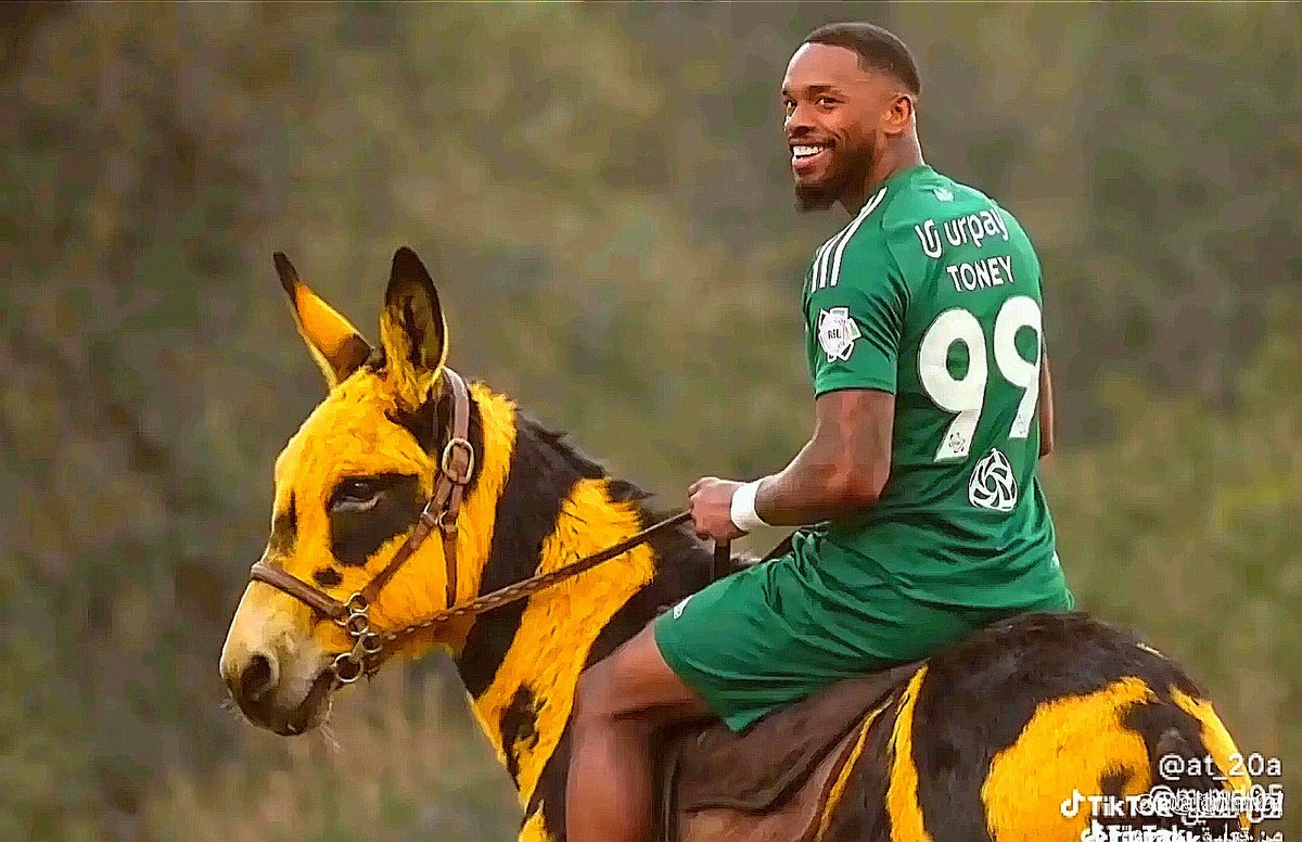 زعيم نخبة اسيا الملكي 🏆💚🤍 tweet media