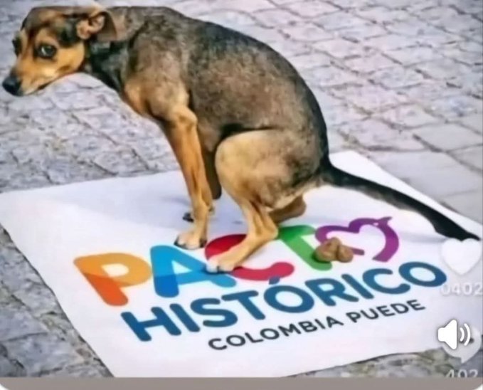 OpinadorPrendido tweet media