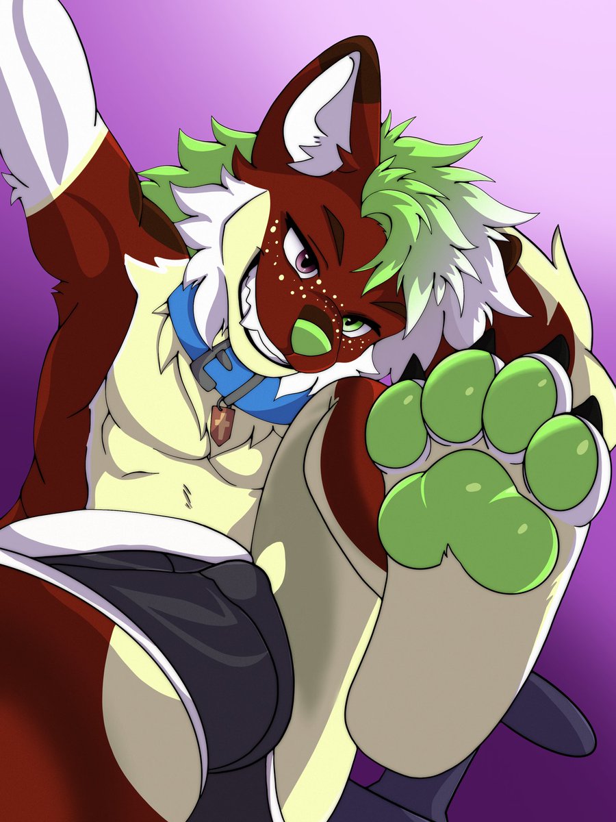 Wolfe (comms open) tweet media
