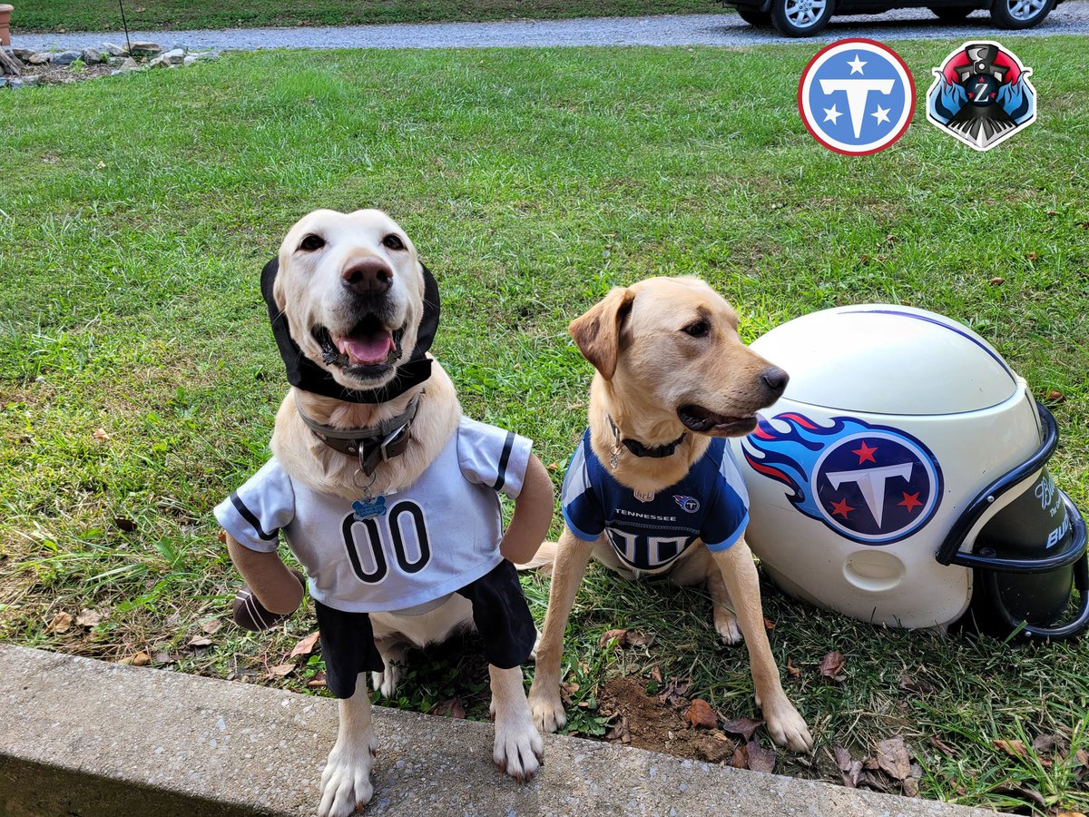Ztrain84's tweet photo. @Titans FANDOM
13 year old Molly
6 Year old Sadie
My homies 😅👍 and the 2 best PuPs ever #titanup https://t.co/43f8ApuONT