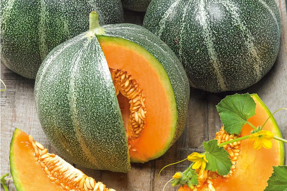Growing Produce tweet media
