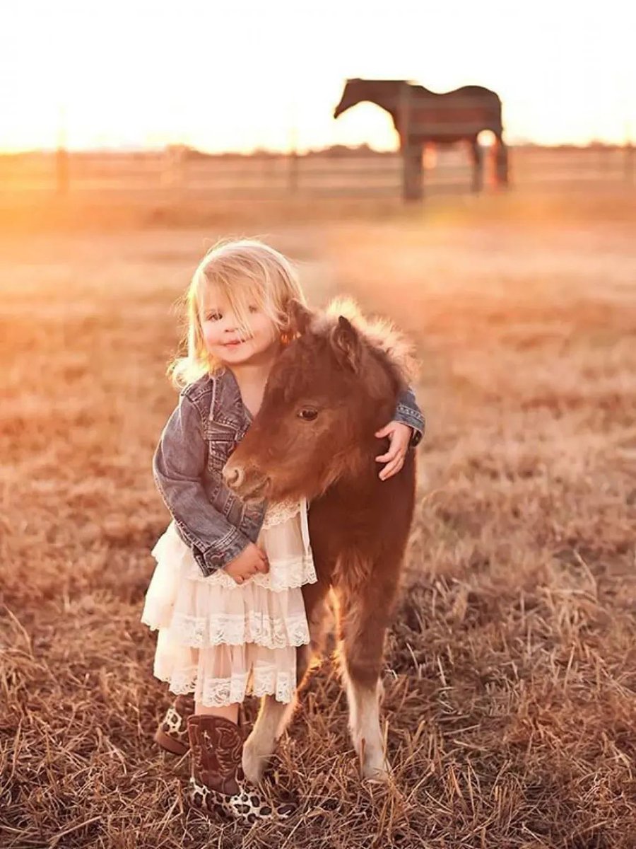 noveliciouss's tweet photo. We need Joy as we need air. We need Love as we need water. We need each other as we need the earth we share.
Maya Angelou https://t.co/VVZ1EtUkuO