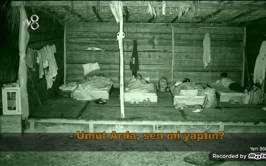 𓆩şev𓆪 tweet media