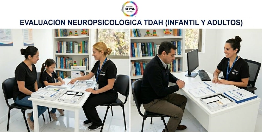 CEPSI tweet media