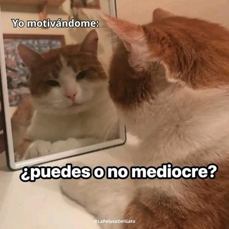 Bua tweet media