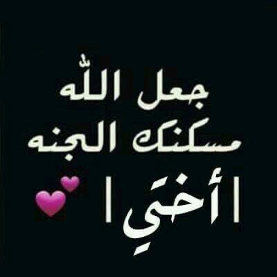 ahmeda✌️ tweet media