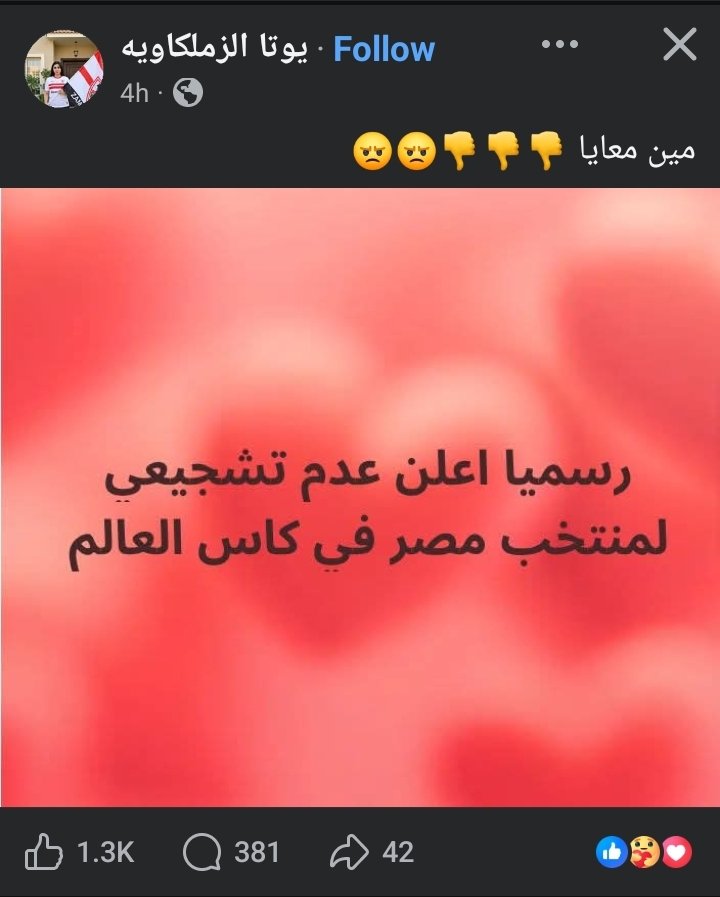 شوقى محمد شوقى tweet media
