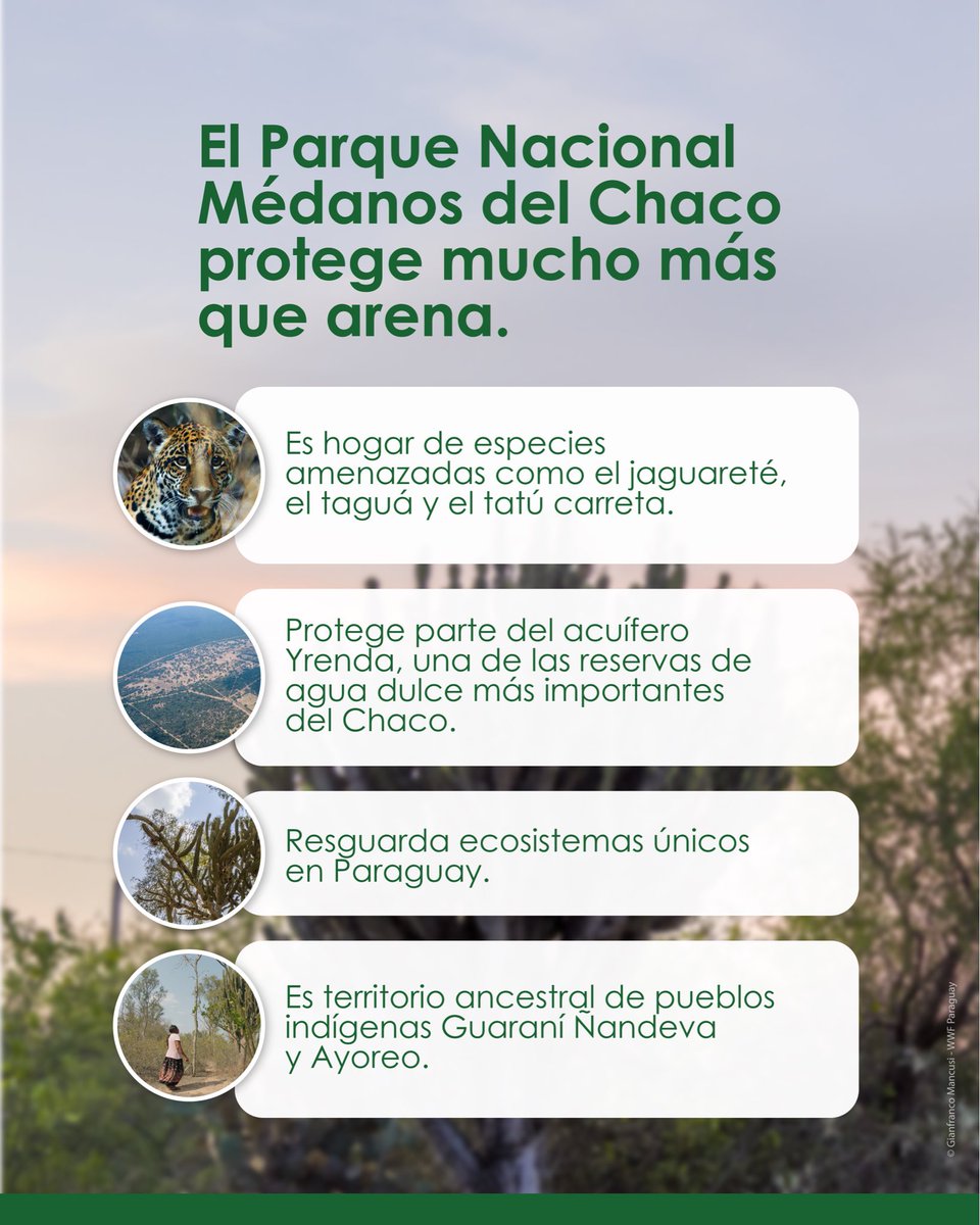 WWF-Paraguay tweet media