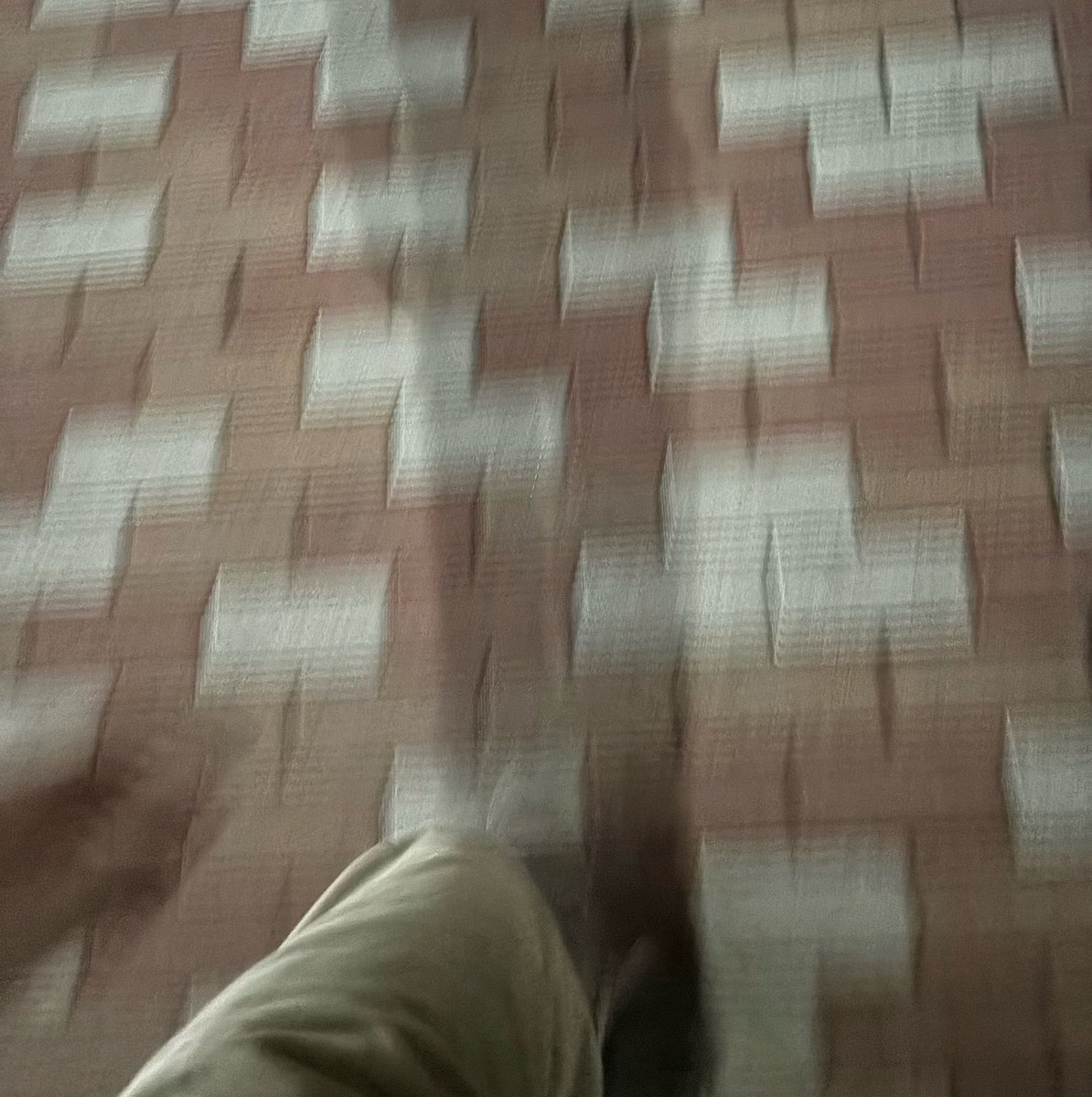 飛べない僕は歩いた