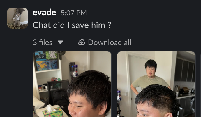 𝖊𝖛𝖆𝖉𝖊 tweet media