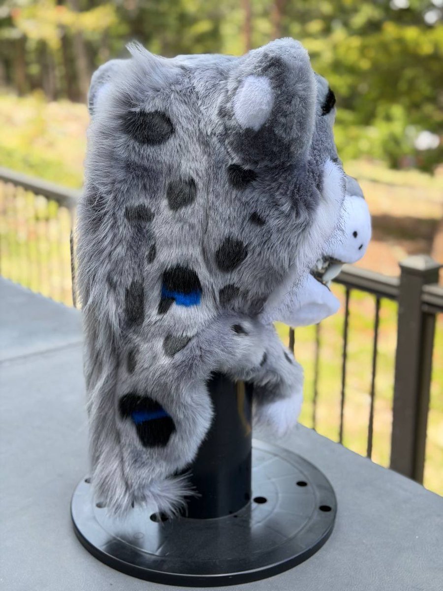 Charles, the Flying Snep tweet media