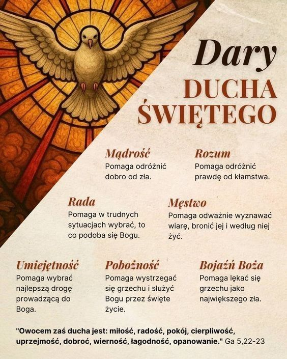 Marcepan Marcepanowski tweet media