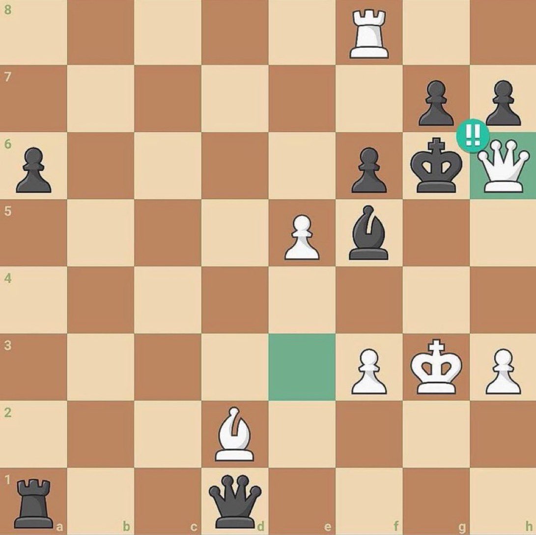 Chess Feed tweet media
