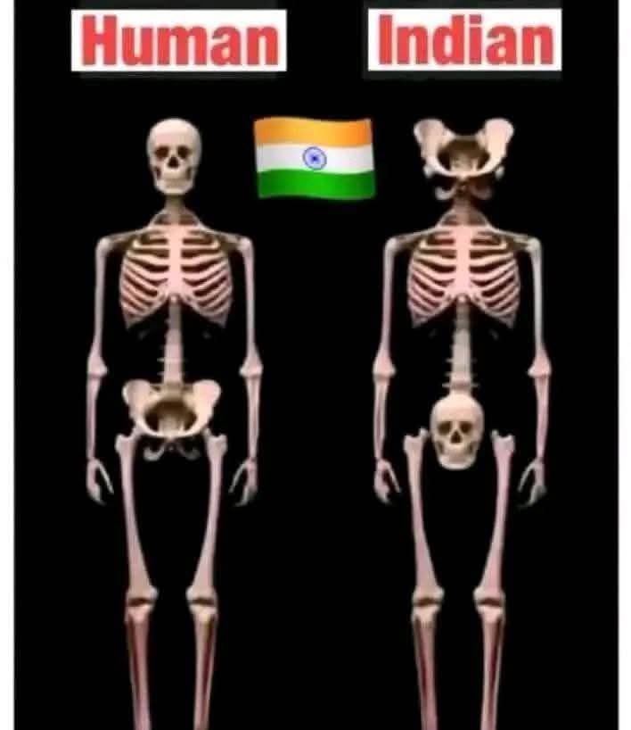 ZHM bro 😉 tweet media