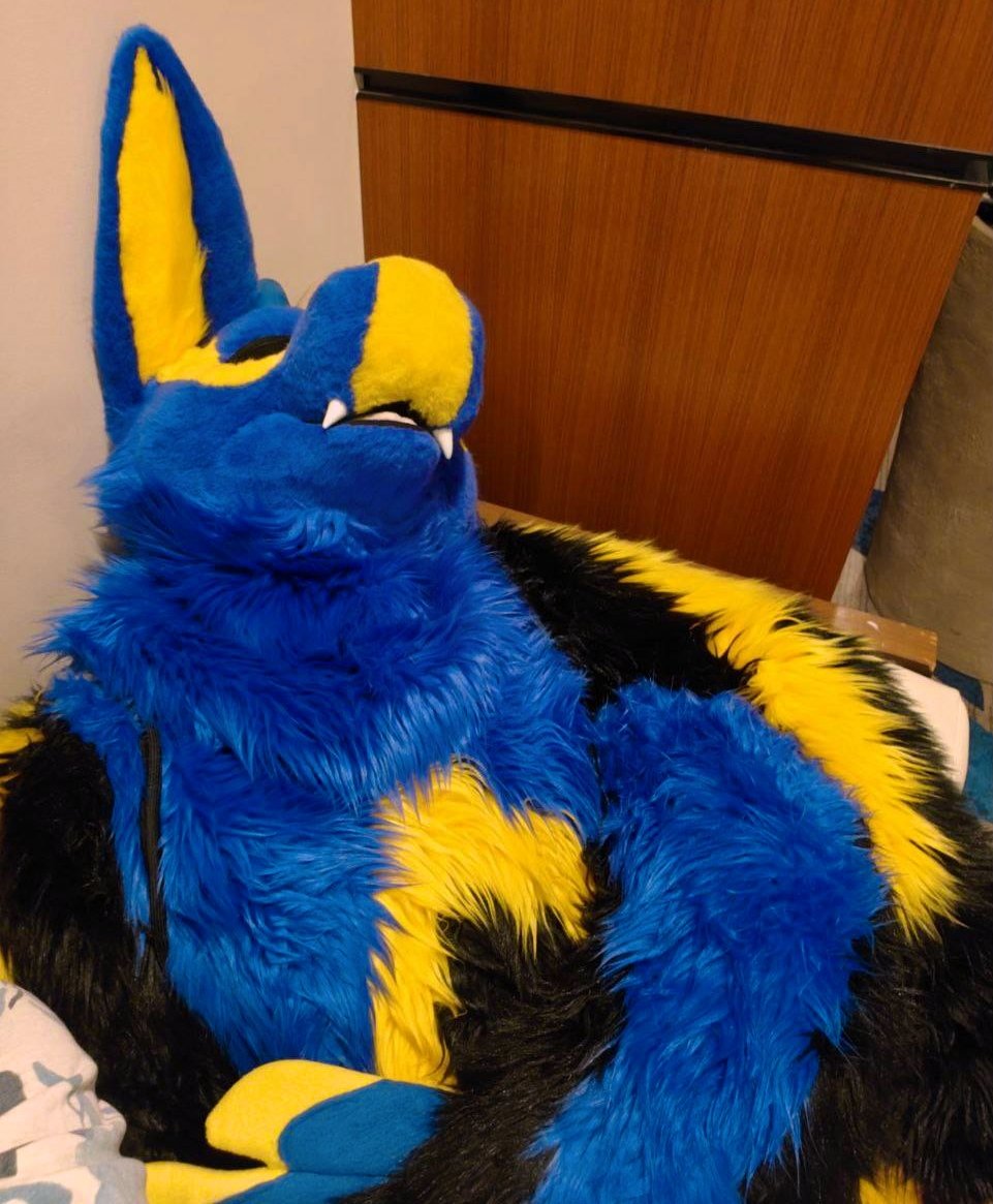 DyoTheDutchie's tweet photo. It has been eleven (11) days since my last con. My body has still not forgiven me.
Exhibit A:

#FursuitFriday #Furry https://t.co/d5khcPm10C