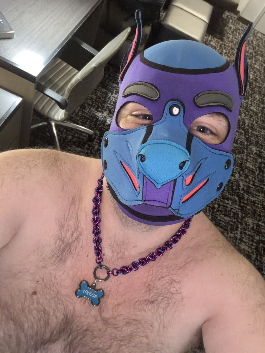 Pup_Argus13's tweet photo. Puppy made it to Dallas 🥰 who wants to have some fun? 😜😈 https://t.co/hstXlWe8Nd
