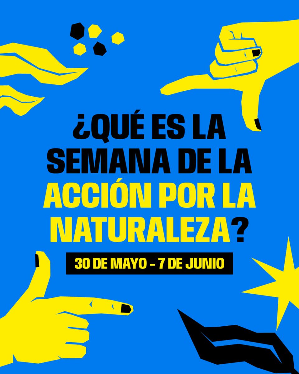 Boadilla Ya tweet media