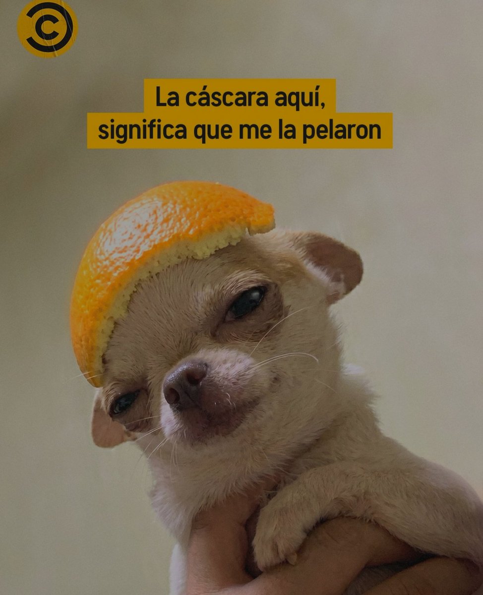 Nesign ® tweet media
