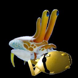 Periscopic Clowncrab (She/Her) tweet media