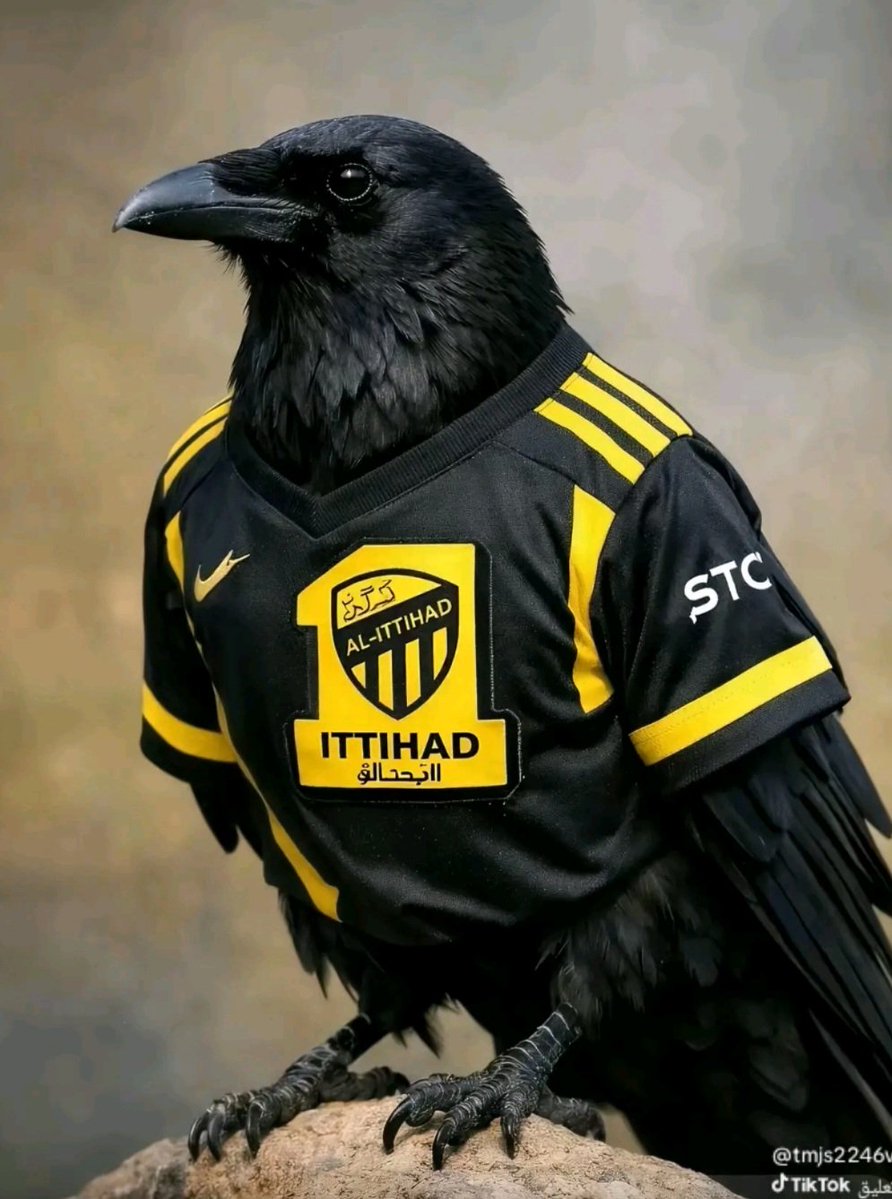 ⚔️🌴⚫️🇸🇦ابو يزيد🇸🇦⚫️🌴⚔️ tweet media