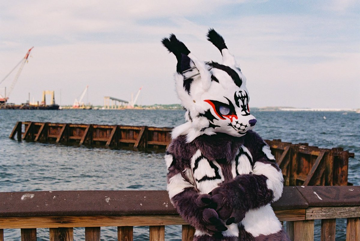 spatterlight's tweet photo. happy #fursuitfriday :3! anyone got fun memorial day/weekend plans? https://t.co/3SgGH4OIRZ
