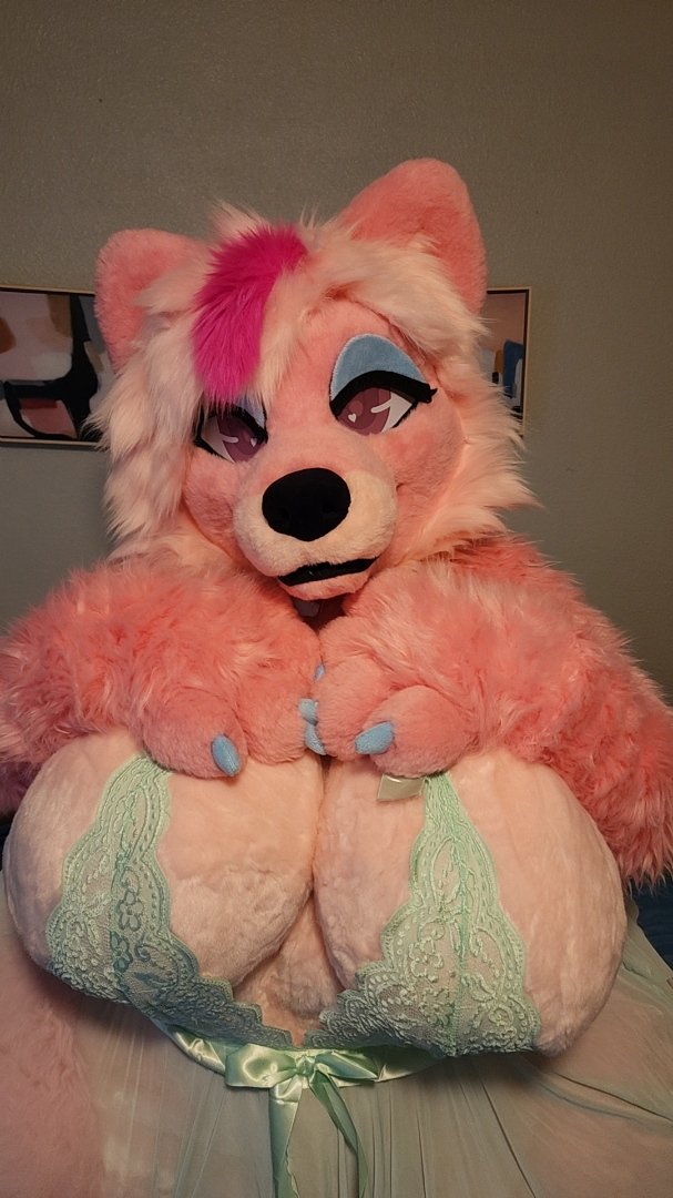 💖BimboPupFifi 💖 TFS, AC tweet media