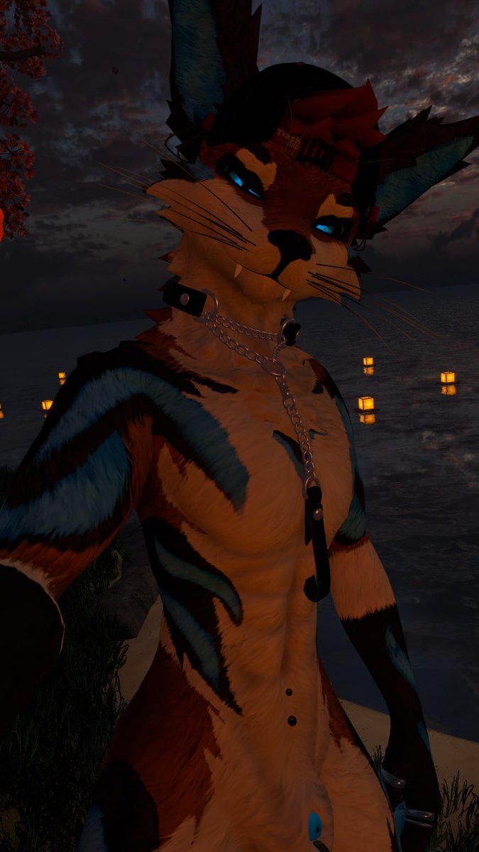 RidgeTheYote's tweet photo. Why not come out and Enjoy the lake tonight with me pup;)!! https://t.co/xXmxU5OXDT
