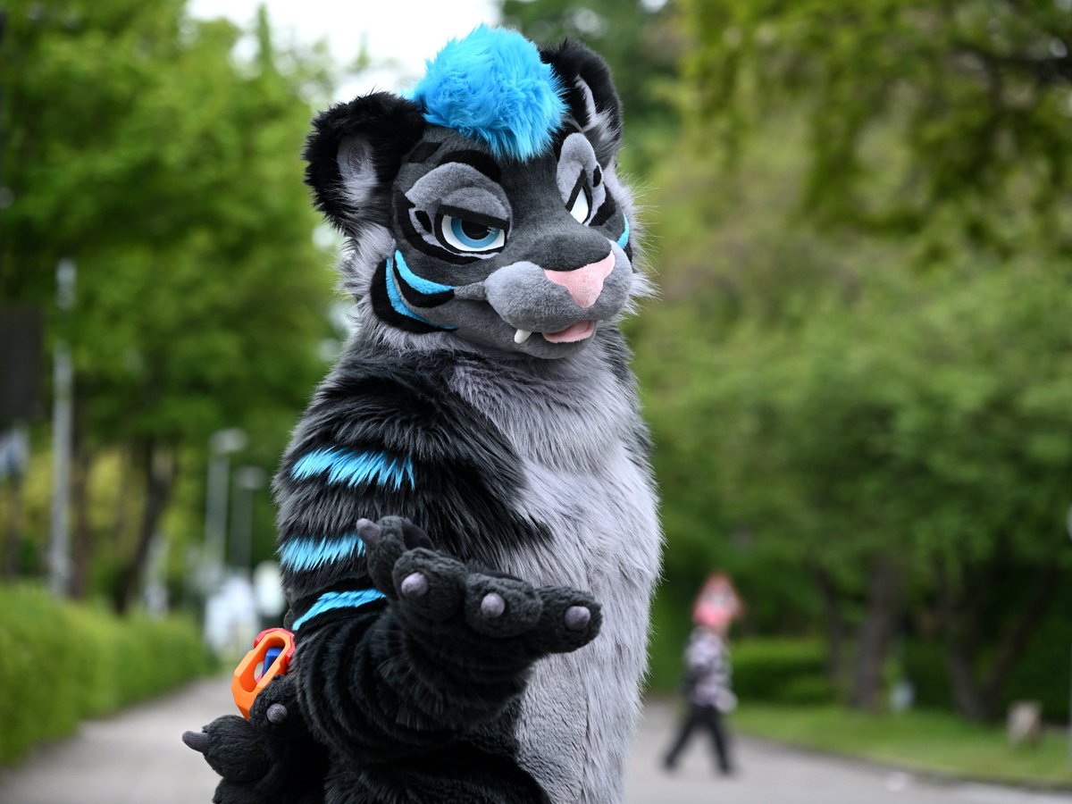 EinaDriving's tweet photo. #Fursuitfriday

Just wanna share some pics I took lately in @anthronrw 

Really enjoying the new Z6 III + 24-120 lens

Suits:
unfug
@fonsthebun
arco tiger https://t.co/AJBWTjXWs3