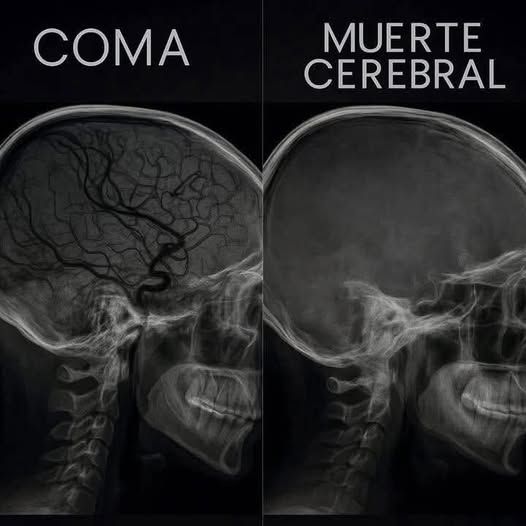 Enséñame de Ciencia tweet media