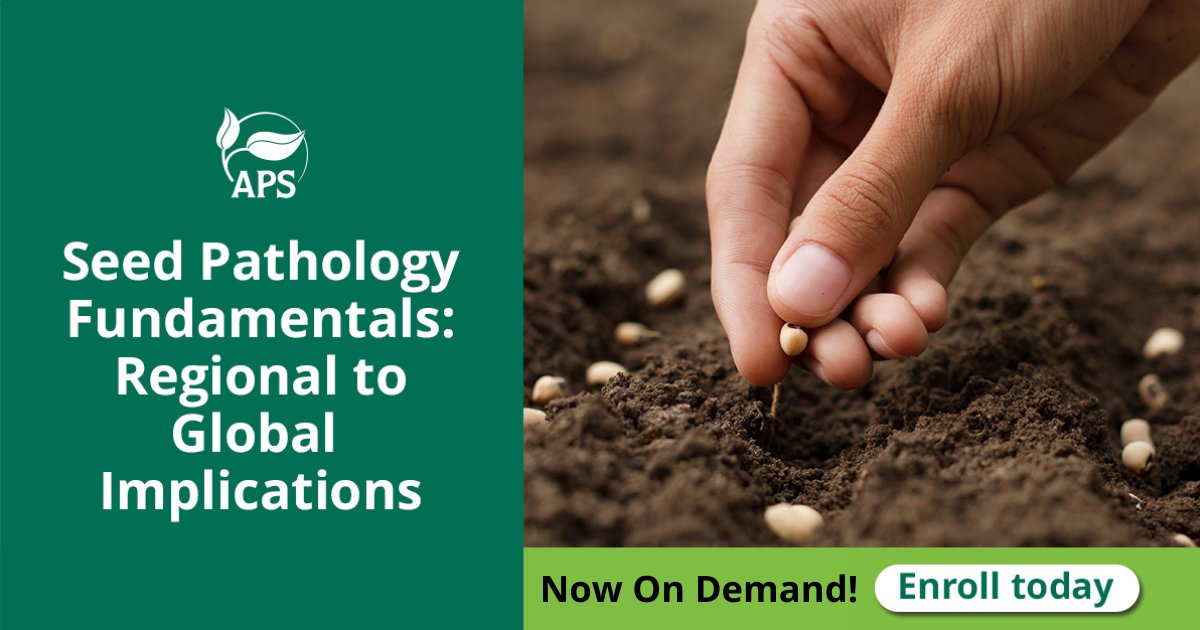 The American Phytopathological Society tweet media