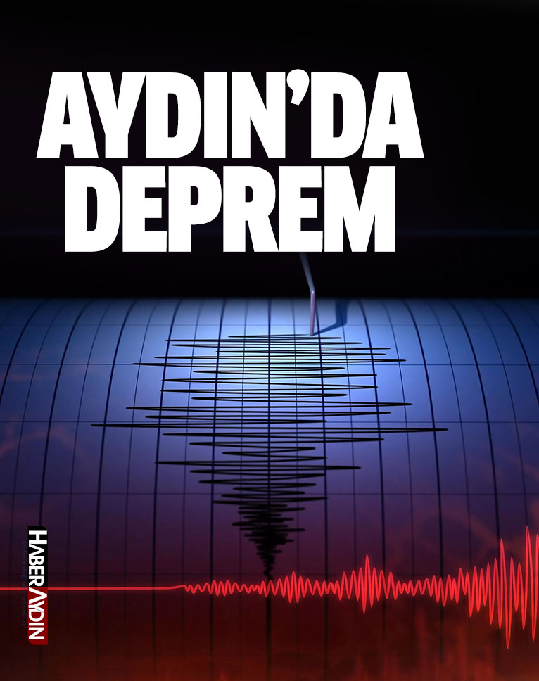 haberaydin.com tweet media